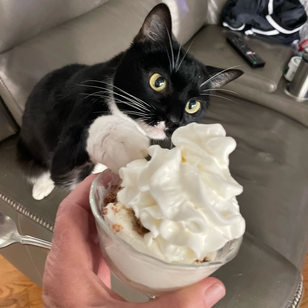 Like & Share My Live Flyer to be notified of my live show ✌️ - Picture 7 of 17